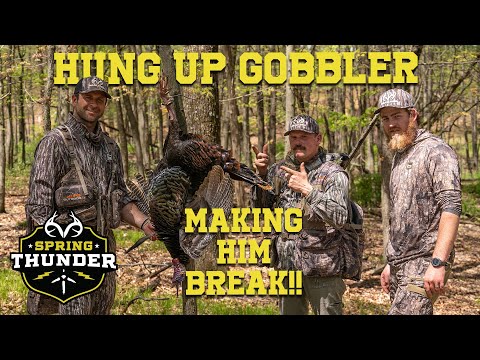 LATE SEASON Turkey Hunting | Make Him BREAK (No Decoys) | New Jersey | Spring Thunder