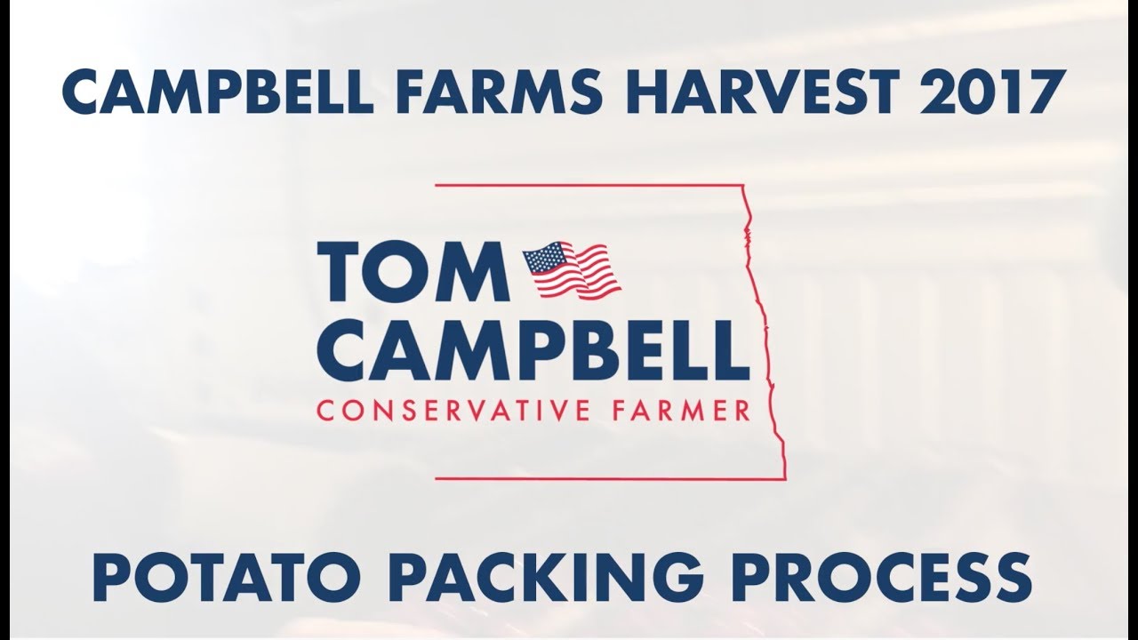 2017 Harvest: Potato Packaging Process