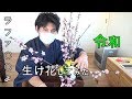 【令和】ラファ〇〇よ　桜の生け花してみたよ/Japanese culture Ikebana Reiwa