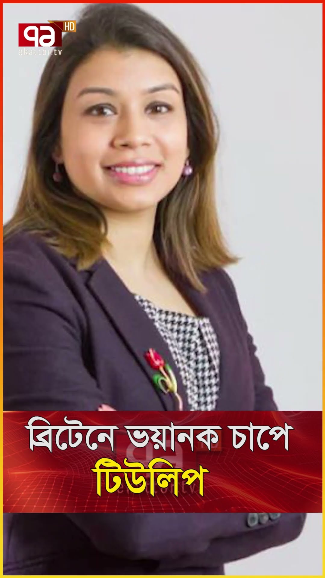 ব্রিটেনে ভয়ানক চাপে টিউলিপ,ছাড়তে হবে পদ?