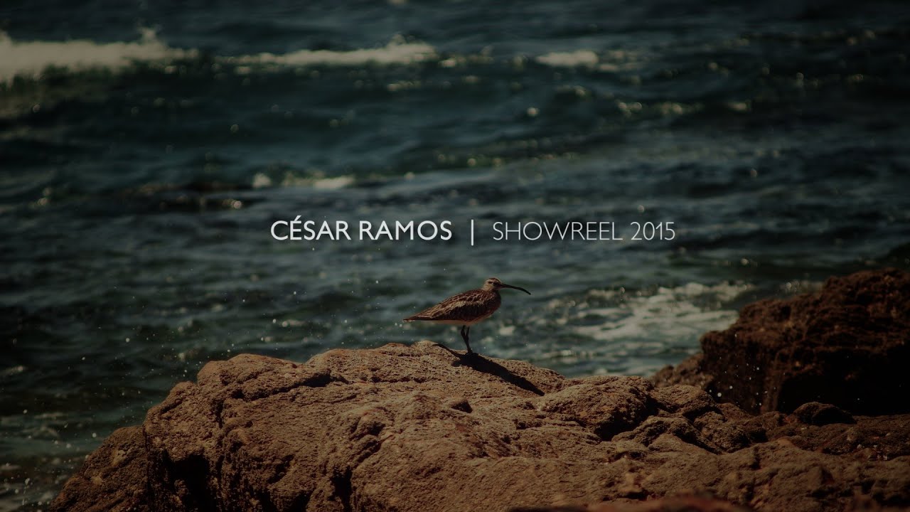 Filmmaking Showreel 2015