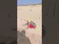waqt ka Parinda ruka Hai Kavita