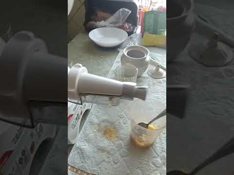 Соковыжималка Zelmer
