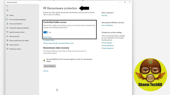 How to Disable Ransomware Protection on Windows 11