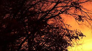 First Sunday in November Sunrise!