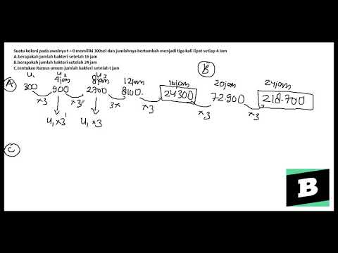 Menentukan berapakah jumlah bakteri dan menentukan Rumus umum jumlah bakteri setelah t jam