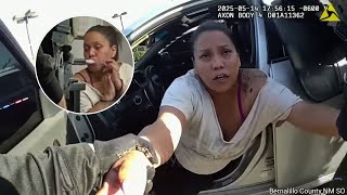 Wild Police Chase At Walgreens Ends In Arrest