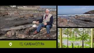 BICHOS 2. El carbonífero de Arnao, Asturias.