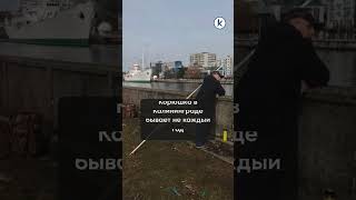 В центре Калининграда в Преголе появилась корюшка