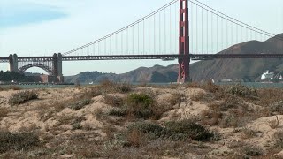 Bay Area scientists uncover environmental challenges, opportunities in Golden Gate Biosphere
