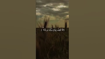 (اللَّه لطيفٌ بعباده ويرزقُ) القارئ وديع اليمني #وديع_اليمني