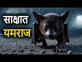 डरावने जानवर (Scary Animals) - Speed, Strength, Weight, Wiki, Facts & More.