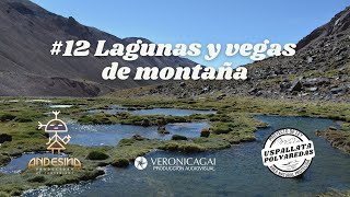 Uspallata - Polvaredas - Cap.12 -  Lagunas y vegas de montaña. #uspallata
