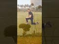 هنا صدقت حلمي و بدأت قالو عني زمان موهوم بيضيع وقتلايوم سلمت ولا استسلمت