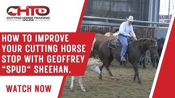 How To Improve Your Cutting Horse Stop With Geoffrey "Spud" Sheehan.
