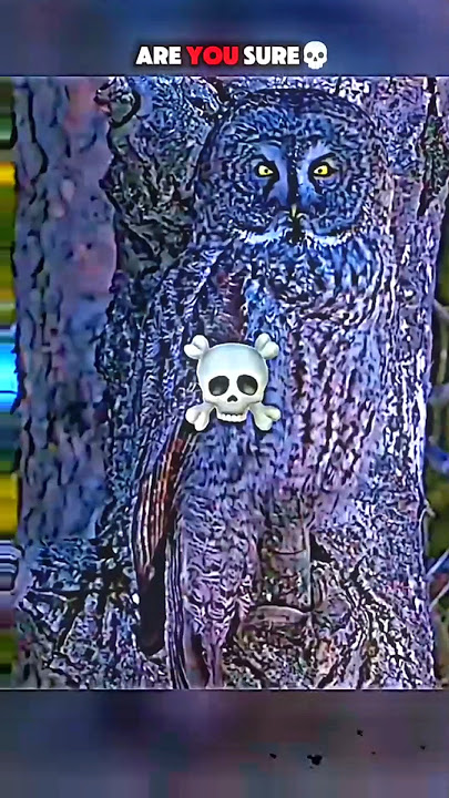 fails.#OwlMindset---  what is real ☠️  sigma comment please support me ghaise 🥰