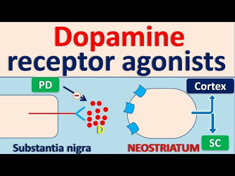 पार्किंसंस रोग (पीडी) के लिए डोपामाइन रिसेप्टर एगोनिस्ट