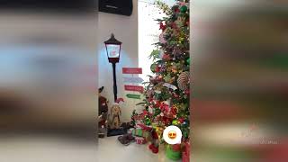 Настя Ивлеева показала какая шикарная елка в офисе