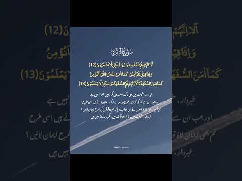 سورہ البقرہ آیت نمبر 12, 13✨.                𝐋𝐢𝐤𝐞💖𝐂𝐨𝐦𝐦𝐞𝐧𝐭🐣𝐒𝐡𝐚𝐫𝐞#savepalestine#islamic