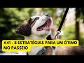 #41 - 8 estratégias para um ótimo passeio