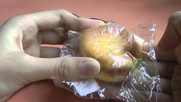 Squishy Experiment #1