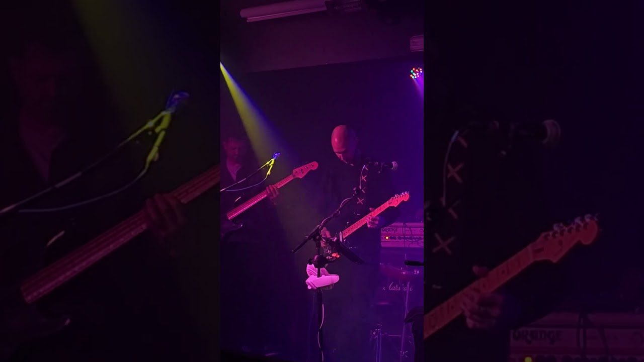 Liam Creedon - Pink Floyd - Dogs 2nd Solo