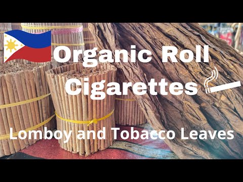 lomboy tobacco Howto Roll a Lomboy Cigarette | Organic Cigarette Tutorial | Tobacco Rolled  in Duhat Leaf
