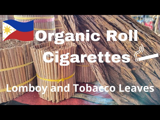 Howto Roll a Lomboy Cigarette | Organic Cigarette Tutorial | Tobacco Rolled  in Duhat Leaf