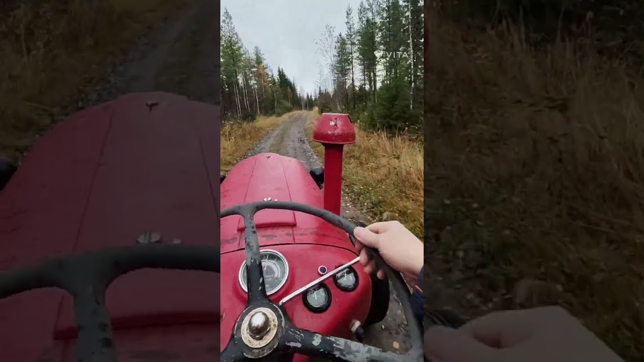 81. Polttopuita Massey Ferguson 35 ja klapituiko. 