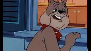 Tom Jerry Who Is The Best Petclassic Cartoon Compilation Awad Saeed