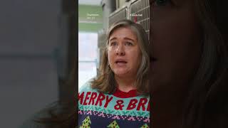 Gazette-Mail, HD Media makes donation to animal shelter