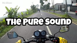 Pure Sound Honda Tiger 2000