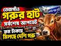 তেজগাঁও গরুর হাটে কম দামে দেশি গরু! আজকের গরুর দাম আপডেট