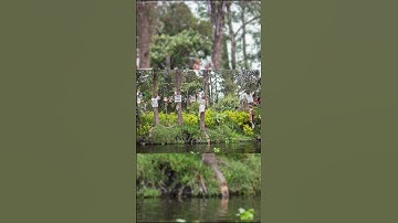 Creepiest Island on Earth — Island of the Dolls | ThinkDart #Shorts