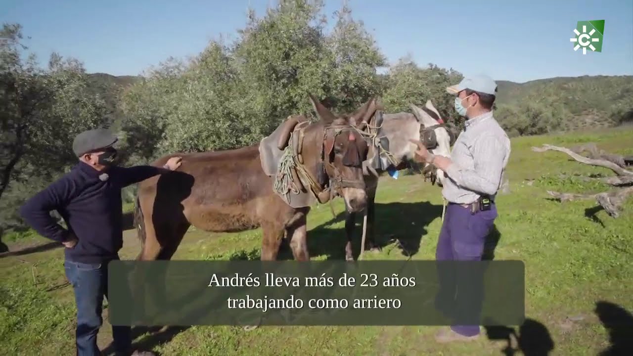 Arriero, una profesión de antaño, Villanueva de Córdoba