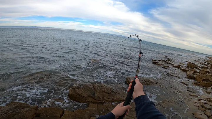 Land based Shark Fishing Tips and Tricks + Shark Catch!!