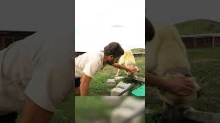 Bu Köpeğe Dokunabilene Oğlak Hediye Irganköpek