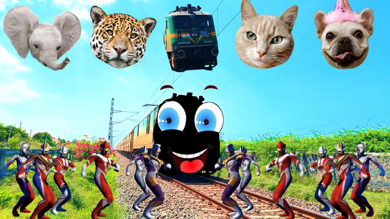 very cute train animal face amazing video | elephant tiger cat dog train face video | animal train
