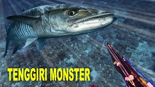 Berburu Dan Menembak Ikan Tenggiri Monster Di Air Empat Meteran screenshot 4