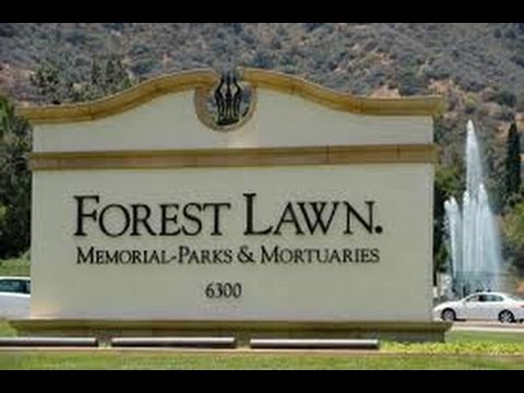 Видео: Где похоронен Майкл Фьюри?