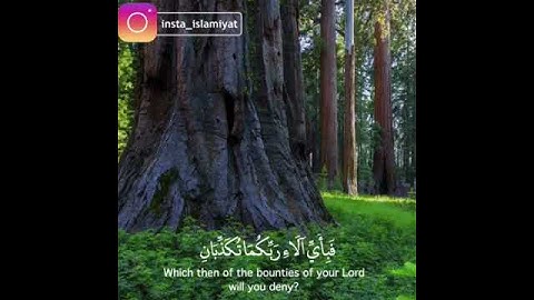 ولمن خاف مقام ربه جنتان فبأي الاء ربكما تكذبان مقاطع دينية قصيرة قران كريم مع الترجمة