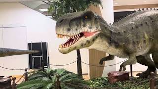 ODAIBA DINOSAUR EXPO 2024 (お台場恐竜博覧会2024：古代の世界を体験せよ)