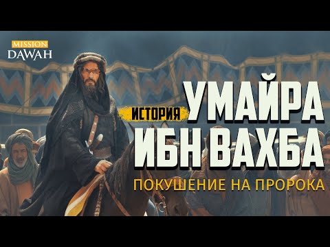 Видео: Убежище: спасательная собака