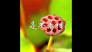 201407 是不着相31518