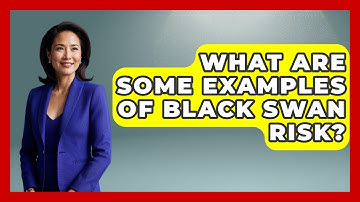 What Are Some Examples Of Black Swan Risk? - Stock and Options Playbook