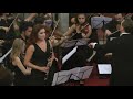 Donizetti, Clarinet Concertino