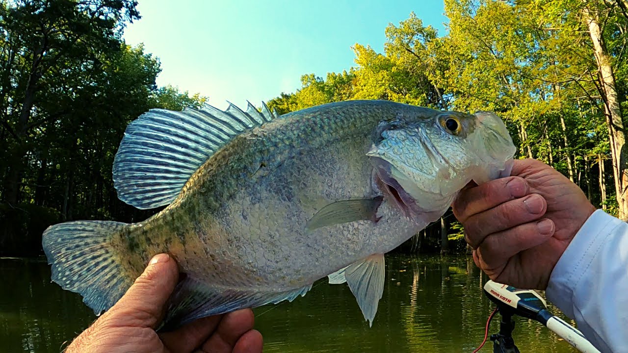 Early fall Crappie fishing 