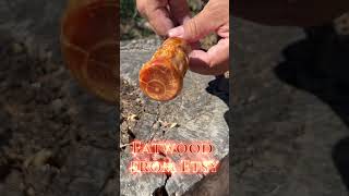 Michigan gold fatwood handle for a ferrocerium rod | Nathans ferro rods