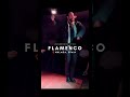 Bailaor Flamenco Performer In Málaga Spain A Passionate Centuries Old Andalusian Art Form 