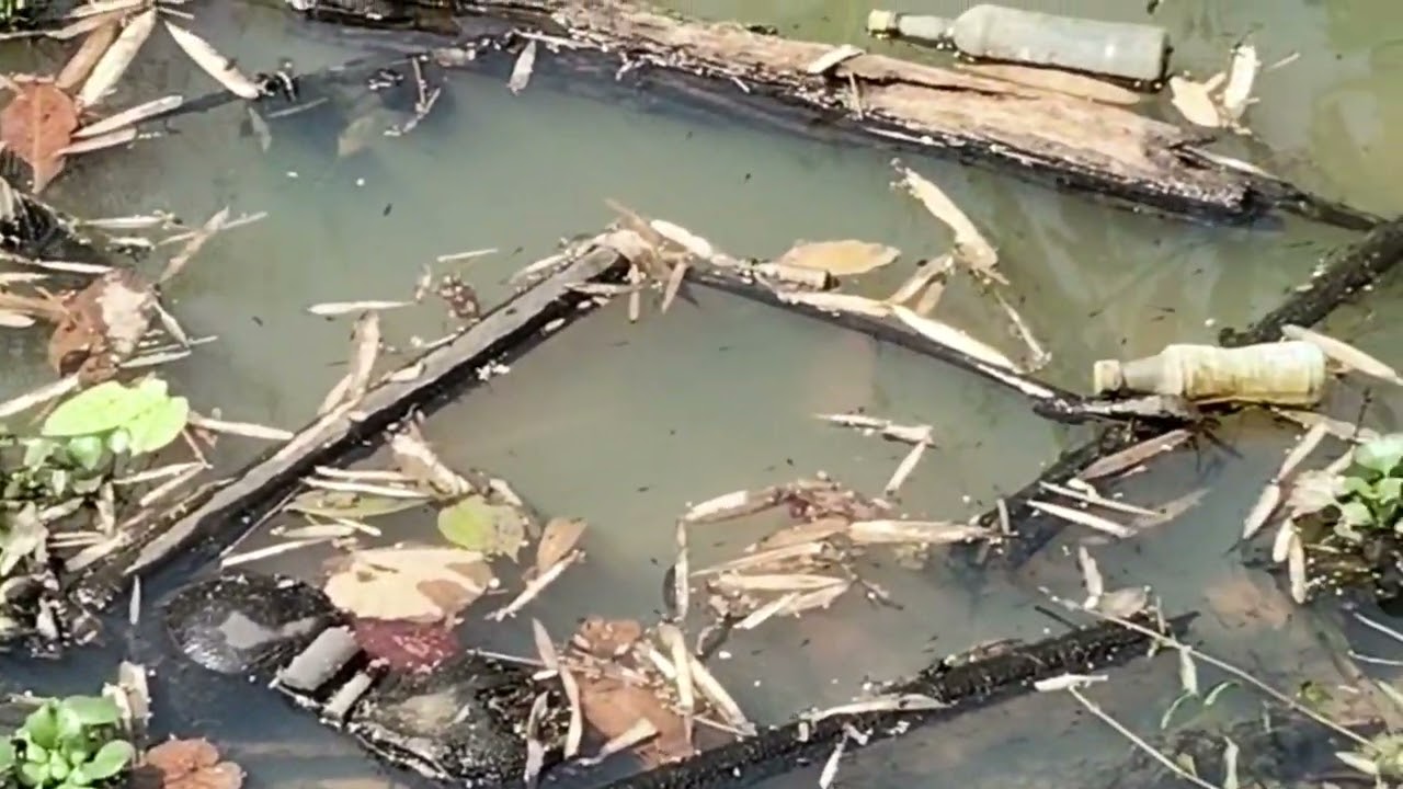 น้ำสายหลักแห่งบ้านใหม่ดอนแก้ว